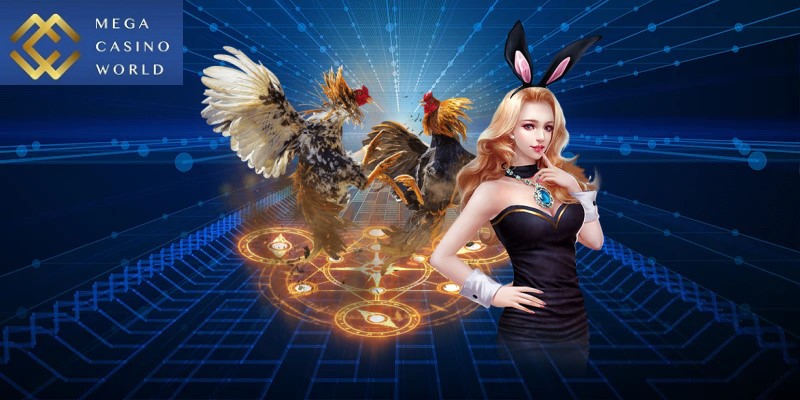 Chú ý bí quyết tham gia đá gà để thu được tiền lời cao